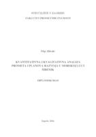 Kvantitativna i kvalitativna analiza prometa i planova razvoja u morskoj luci Šibenik